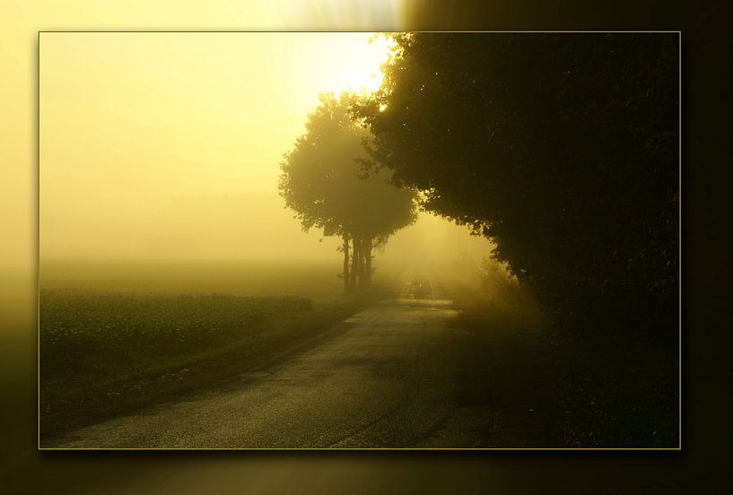 ochtendmist by Marie Therese Van Roey