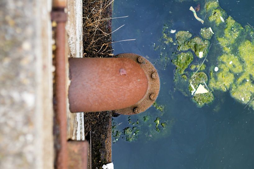 Roest in de haven von Johan Dingemanse