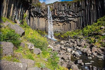 Svartifoss waterval IJsland van Menno Schaefer