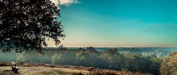 Panoramablick auf die Mookerheide von Bas Stijntjes