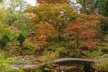 The Japanese Garden at Clingendael Estate. by Jaap van den Berg