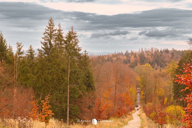 Der deutsche Teutoburger Wald im Herbst von Remco Ditmar