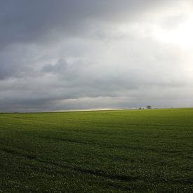 Gloomy day in the field van Armand L'Ortije