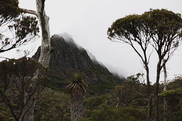 Cradle Mountain: Een Symbool van Tasmanische Wildernis van Ken Tempelers