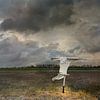 Niederländische Landschaft - Feld mit Vogelscheuche in Zeeland von Hannie Kassenaar