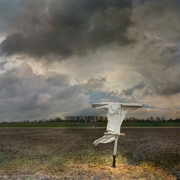 Dutch landscape - Field with scarecrow in Zeeland