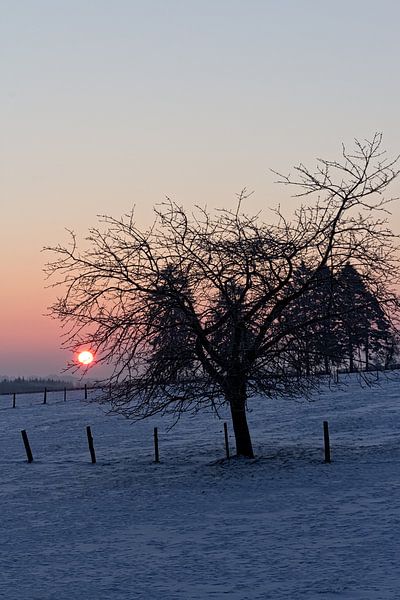 Winter Landscape Malmedy by Christophe Fruyt