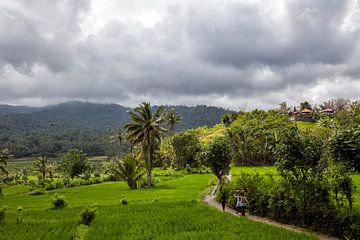 Vrouwen lopen naar huis tussen groene rijstvelden op het eiland Bali van Tjeerd Kruse