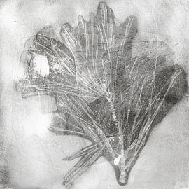 Wabi-Sabi Botanical Art – Abstract Pine Branch