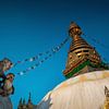 Singes au stupa de Swayambhunath à Katmandou - Népal sur Chi