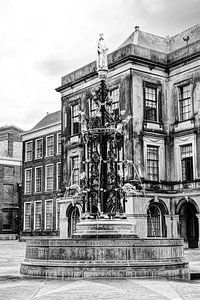 Binnenhof Den Haag Die Niederlande Schwarz und Weiß