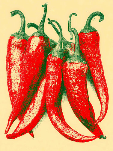 Leuchtende Ernte in Rot und Grün von But First Framing