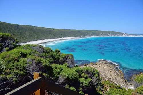 The bay at Observatory Beach