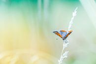 Small Copper von Mark Scheper Miniaturansicht