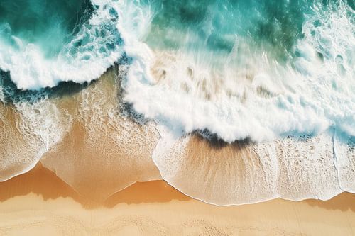 Oceanic - Shoreline Dream