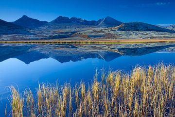 Dørålen Herbst von Sven-Erik Arndt