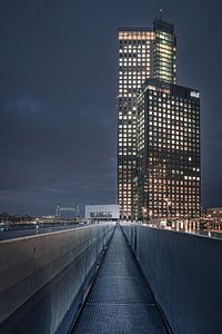 Rotterdam Skyline van Dennis Donders