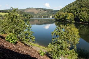 Diemelsee met steile oever, Duitsland