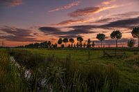 De Hollandse avonden