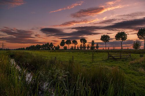 De Hollandse avonden