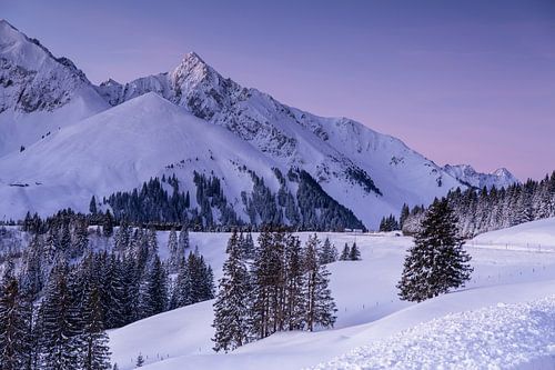 Verschneiter Gantrisch Naturpark im Winter bei Sonnenaufgang im zarten Pastell