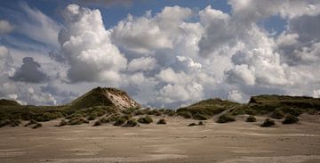 Dunes sur Terschelling sur Bo Scheeringa Photography