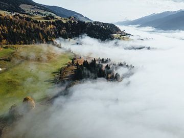 Bos in mist boven Mittersill Pinzgau Oostenrijk Salzburgerland van Daniel Kogler
