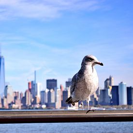 New York Skyline Manhattan met Meeuw van Maurice Gort