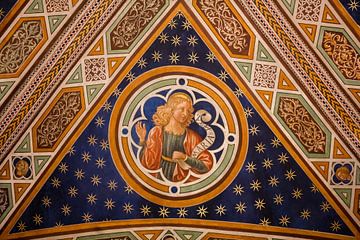 Plafondschildering (Maria) in de San Martino  Kathedraal van Lucca, Toscane. Italië Toscane, Italië van Joost Adriaanse