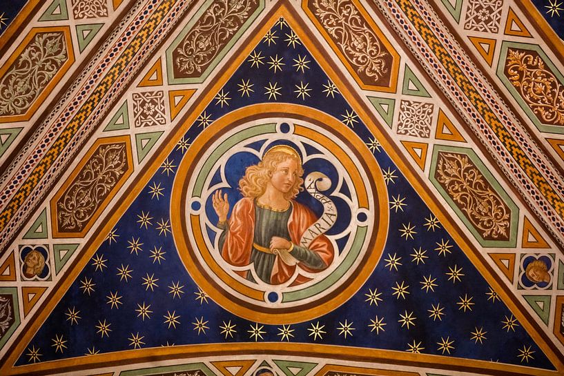 Ceiling painting (Mary) in the San Martino Cathedral of Lucca, Tuscany. Tuscany, Italy by Joost Adriaanse