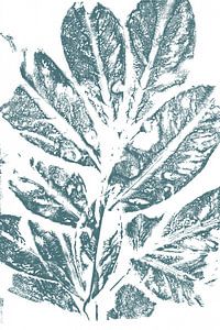 Moderne botanische Kunst. Blaugrüne Blätter auf Weiß von Dina Dankers