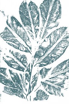 Modern botanical art. Teal blue leaves on white by Dina Dankers