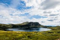 Norway, Aurlandsfjellet - Norwegain Nature van Lars Scheve thumbnail