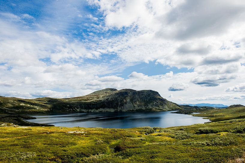 Norway, Aurlandsfjellet - Norwegain Nature von Lars Scheve