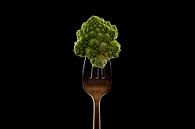 fork with cabbage on black background by Olha Rohulya thumbnail