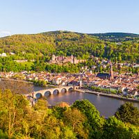 Heidelberg mit dem Heidelberger Schloss