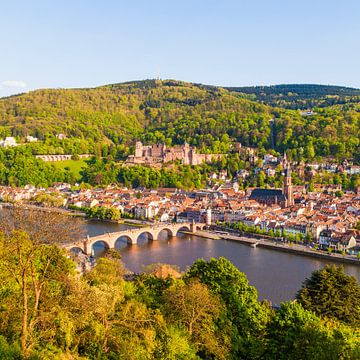 Heidelberg met kasteel Heidelberg
