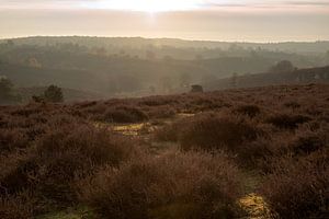 Zonsopkomt op de Posbank van René Jonkhout