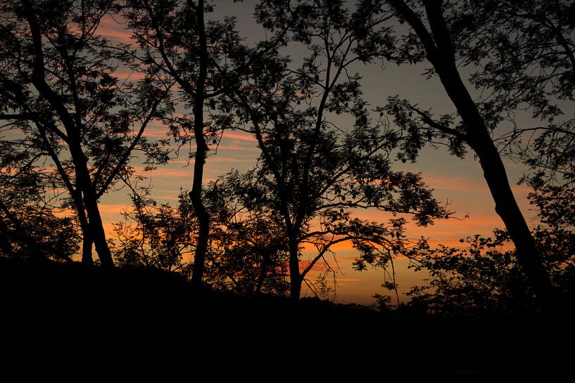 Zonsondergang by Diana Edwards