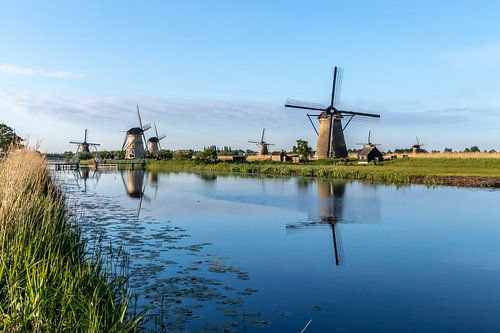 De windmolens in Kinderdijk