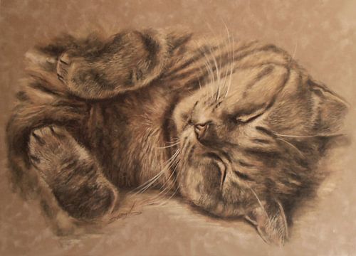 Tenderness of A Dreaming Heart