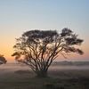 Zonsopkomst op de heide van Ad Jekel