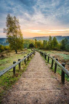 Lever du soleil sur les escaliers