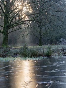 Eerste wintermorgen van Herman Heus