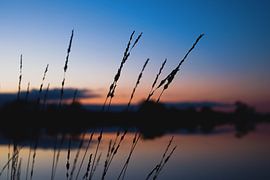 Sunrise in Drenthe Netherlands by Marco Bos