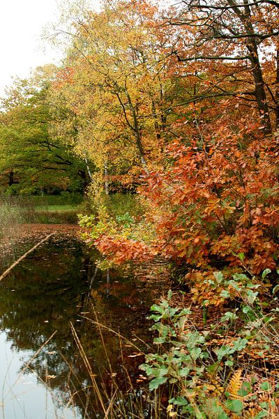 Herfst 6 van Ronald Hulsebos