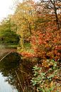 Herfst 6 van Ronald Hulsebos thumbnail