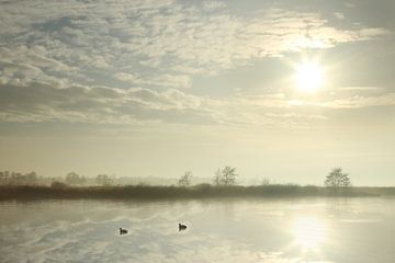 Vroege lente van Michelle Zwakhalen