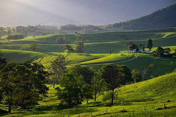 New South Wales, Australie by Willem Vernes