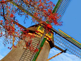 Molen 'De Hoop' (Molen in Holland) van Caroline Lichthart